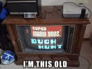 super-mario-bros-duck-hunt-this-old.png