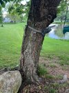 IMG_4870.jpeg