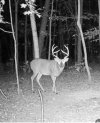 IMG_1937.jpeg