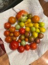 IMG_5155.jpeg IMG_5155.jpeg