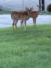 IMG_7174.jpeg