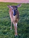 IMG_6926.jpeg