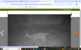 Screenshot (24).png