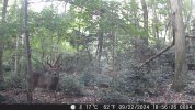 DSCF0004.JPG