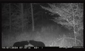 IMG_4671.jpeg
