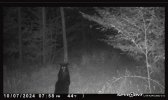 IMG_4677.jpeg