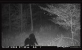 IMG_4682.jpeg