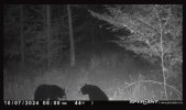 IMG_4684.jpeg