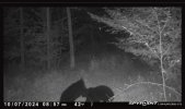 IMG_4688.jpeg