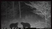 IMG_4689.jpeg