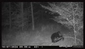 IMG_4693.jpeg