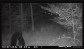 IMG_4696.jpeg