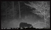 IMG_4698.jpeg