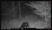 IMG_4699.jpeg