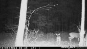 IMG_1259.jpeg