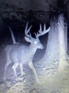 IMG_7603.jpeg