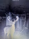 IMG_7607.jpeg