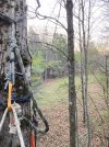 IMG_0560.jpeg