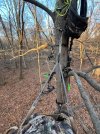 IMG_1372.jpeg