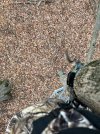 IMG_1374.jpeg