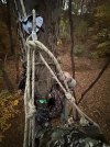 IMG_1376.jpeg