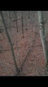 Screenshot_20241102-081141_Gallery.jpg