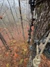 IMG_8996.jpeg