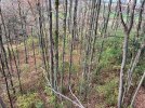 IMG_6039.jpeg