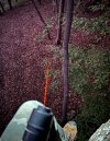 IMG_1339.jpeg