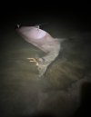 IMG_1340.jpeg