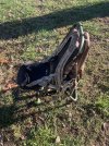 IMG_0738.jpeg