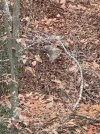 IMG_3049.jpeg