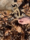 IMG_3053.jpeg