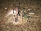 2024-2nd-doe-crop.jpg