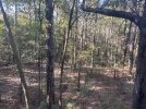 Logging rd Large.jpeg