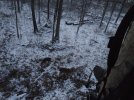 doe+fawn.jpg