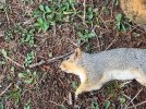 IMG_6410.jpeg