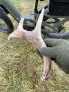 IMG_8249.jpeg