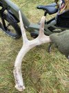 IMG_8248.jpeg
