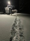 IMG_8266.jpeg