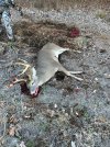 IMG_7727.jpeg