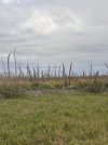 marsh:swamp?.JPG