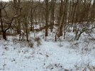 IMG_4925.jpeg