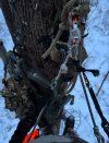 IMG_1549.jpeg
