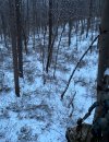 IMG_1550.jpeg