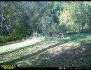 IMG_1677.jpeg