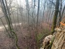 IMG_9954.jpeg