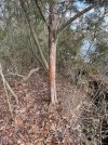 IMG_9965.jpeg