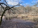 IMG_9966.jpeg