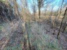 IMG_9968.jpeg